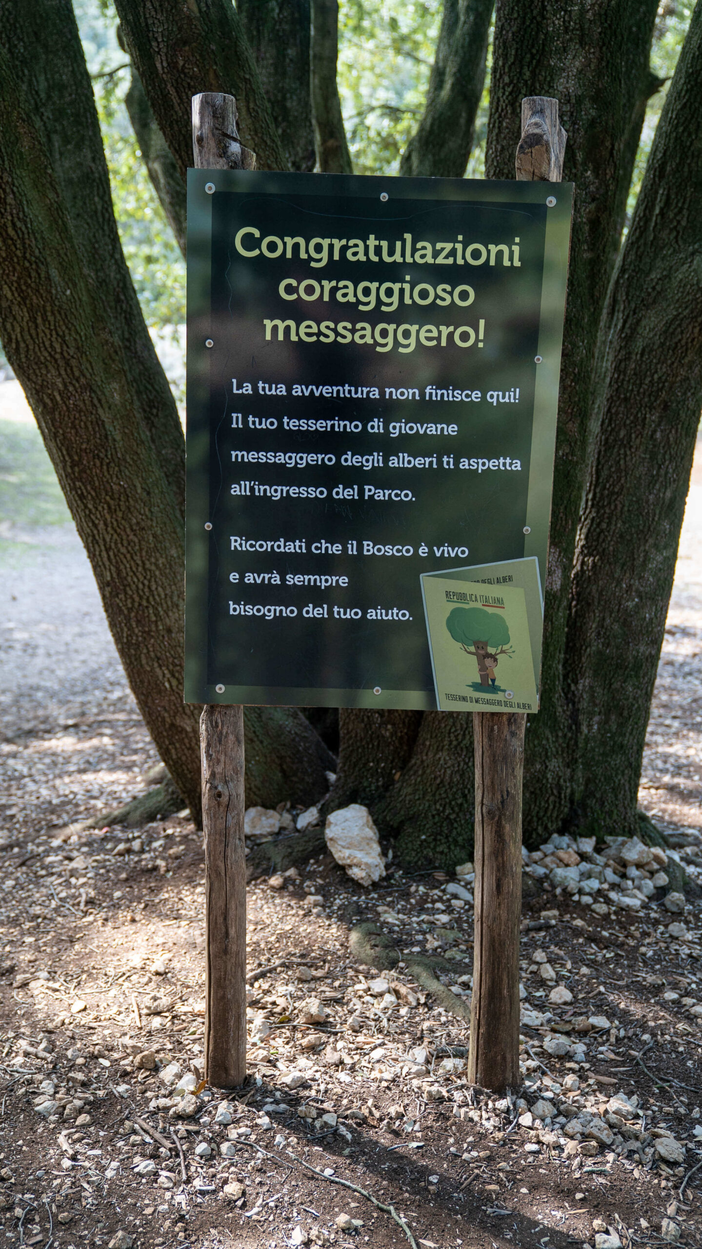 Il bosco parlante Città della Domenica Installazione del bosco parlante di Città della Domenica