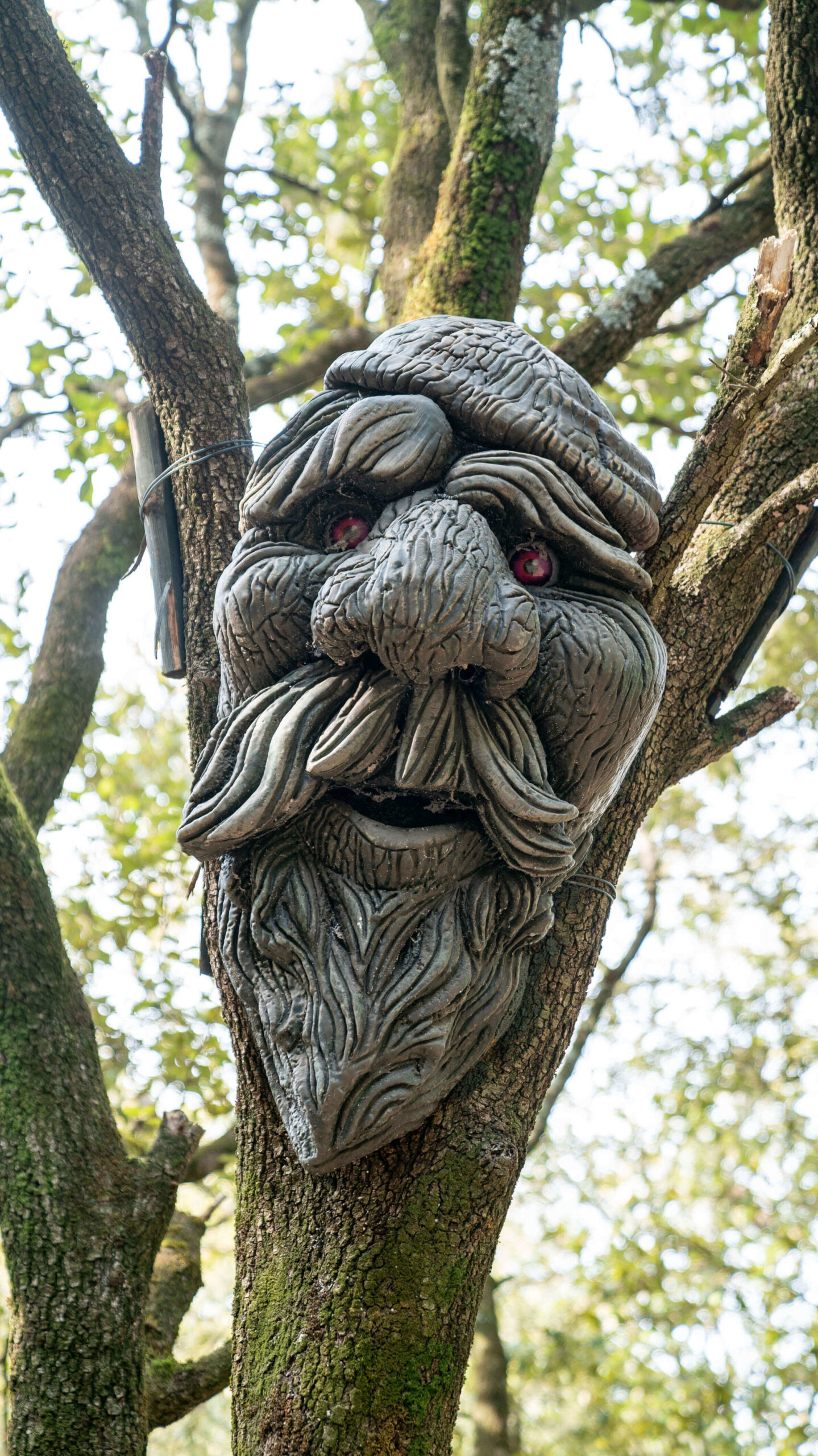 Bosco parlante Città della Domenica scultura del bosco parlante di Città della Domenica