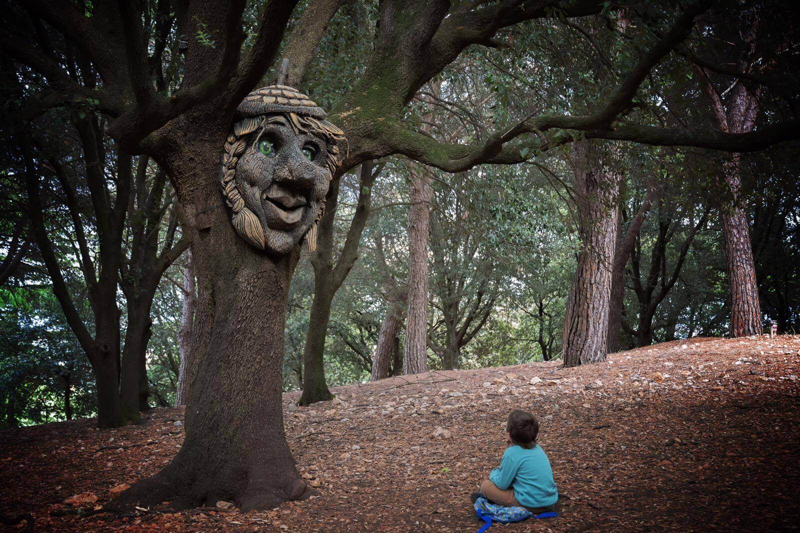 Il bosco parlante Città della Domenica Bambino al bosco parlante della Città della Domenica